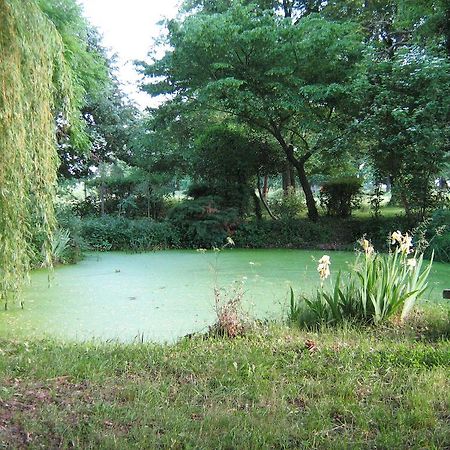 Domaine Des Parisses - Chambres D'Hotes Gennetines Стая снимка